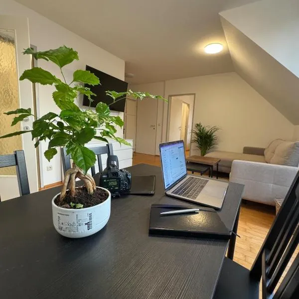 Top Floor Apartment near Palace Schönbrunn, hotel in Vienna