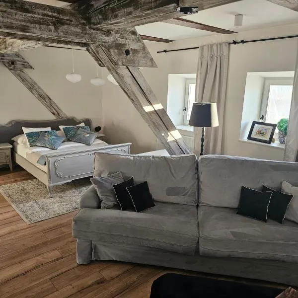 Krzywa Apartamenty, hotel v destinaci Lidzbark Warmiński