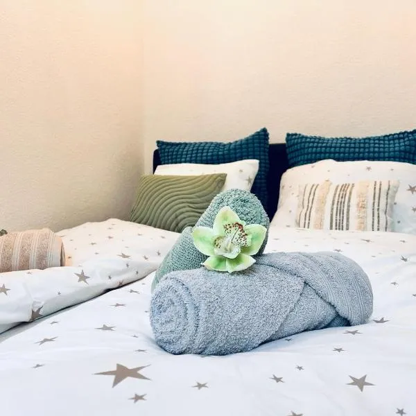 Serene Stay, hotel en Olten