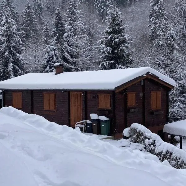 Drevenice Oščadnica, hotel v Oščadnici