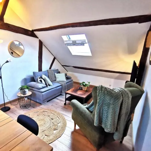 Deux pièces sous les toits, hotel a Tours