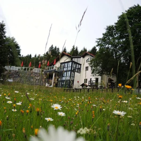 Gastinger Hotel-Restaurant, hotel v destinaci Schmiedefeld am Rennsteig