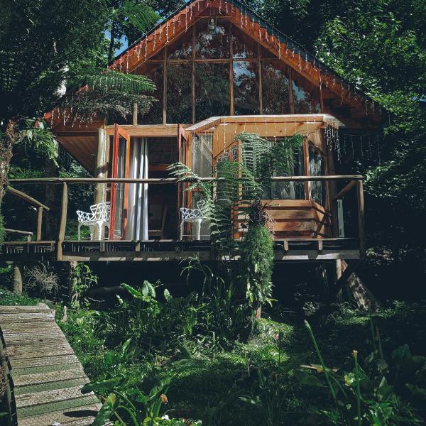 Chalé Samambaia - Chalet Village - Foto 5