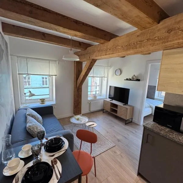 Apartament Centro 10, hotel v destinácii Leszno