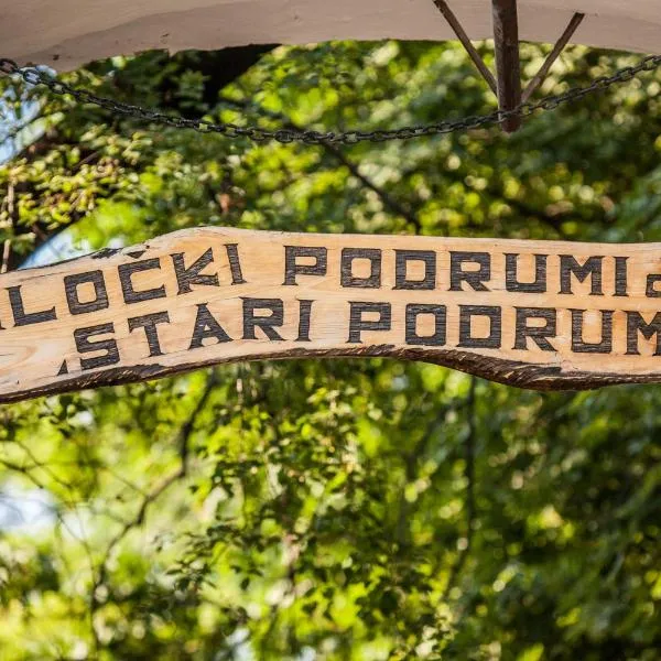 Hotel Stari Podrum, khách sạn ở Ilok