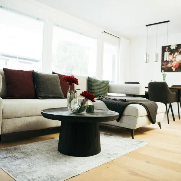 Feel Home Apartments 501 - Seeblick - Bergblick - Parkplatz, hotel v destinaci Emmetten