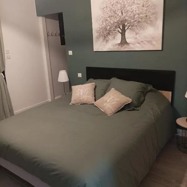Villa de cammas, hotel v destinaci Montauban