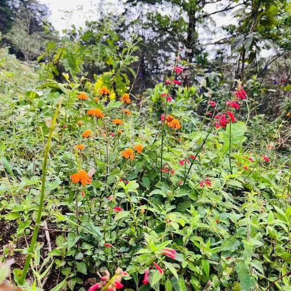 Bella vista Ceci B1, hotel in San Ramón