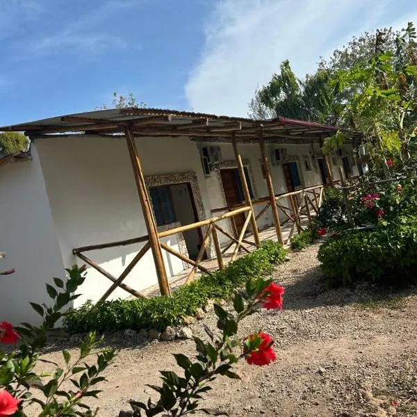 Zanzllywood Uroa Beach Apartments, hotel v destinaci Dikoni