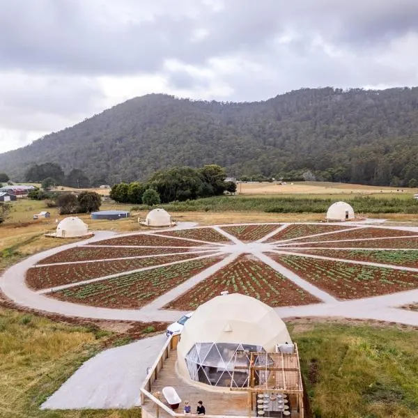 Mount Gnomon Farm、ペンギンのホテル