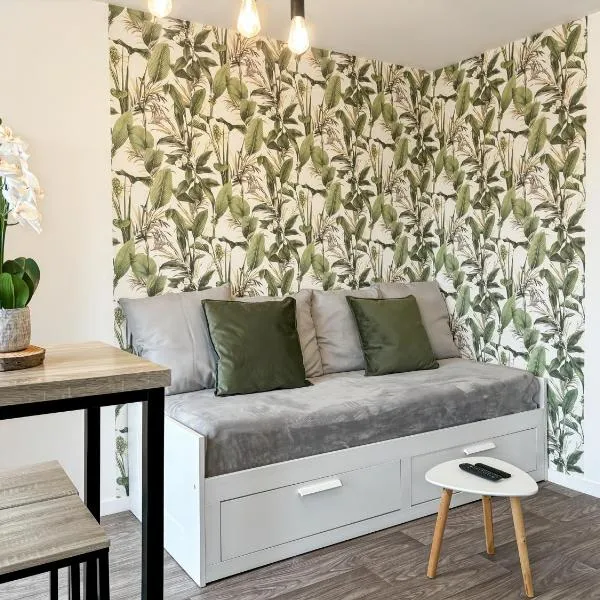Charming Studio Disneyland Paris - Rentaway BnB, hotel in Montévrain