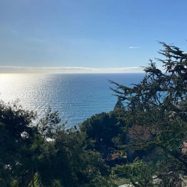 Sanremo vista mare e giardino, khách sạn ở Poggio