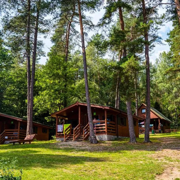 Zawiaty na Kaszubach domki nad jeziorem, hotel v destinaci Czarna Dąbrówka