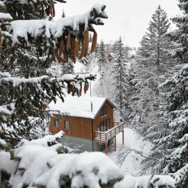 Gorska Vila, Hotel in Kopaonik