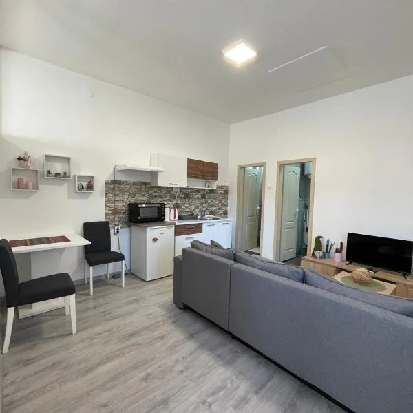 Apartman Arthur, hotel in Kikinda