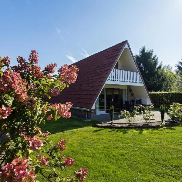 Gierzwaluw I Stijlvolle Cottage met Mooie Tuin, hotel en Zwiggelte