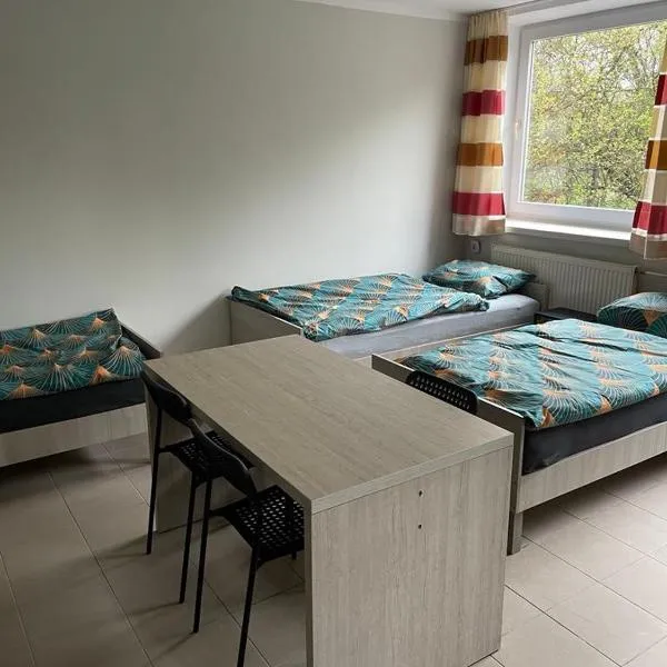 Noclegi Eliza, hotel in Dąbrowa Górnicza