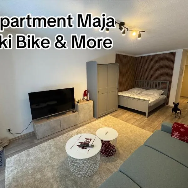 Apartment Maja unmittelbar an der Skipiste，位于温特贝格的酒店