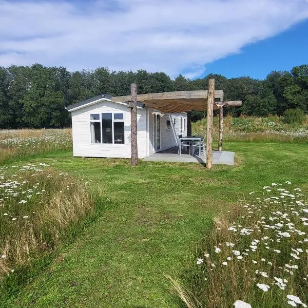 Hoeve Twente - De Bonte Specht, Hotel in Heythuysen
