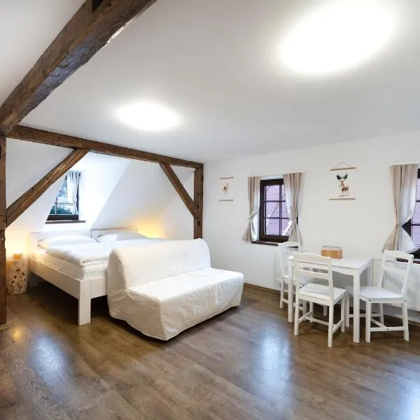 Avama - apartmány Srní, hotel in Srní