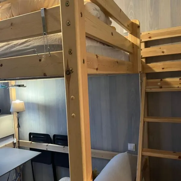 Studette fonctionnelle Eaux Bonnes – hotel w mieście Eaux-Bonnes