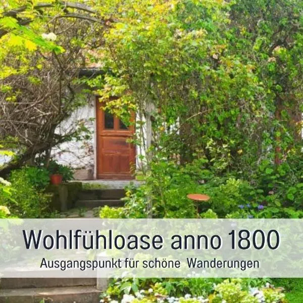 Schweizerblick, hotel in Hänner