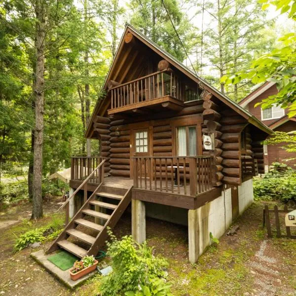 Reposer Hakuba, hotel in Hakuba