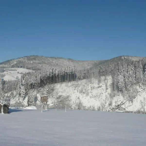 Sackmann Wanderhotel, hotel in Baiersbronn