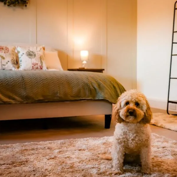 Old Orchard Cottage, Wykeham, hotel in Wykeham