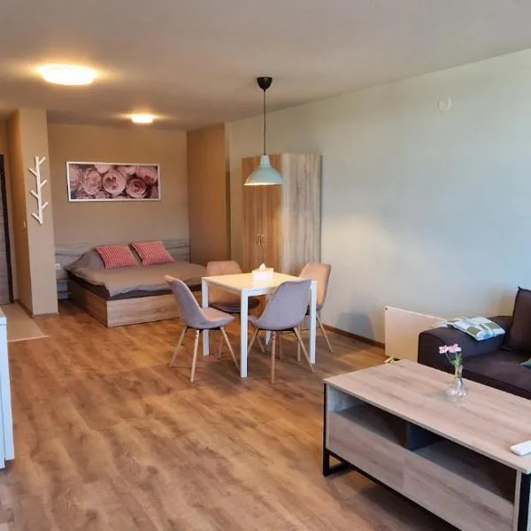 Cosy n fully equipped studio, hotel in Samokov