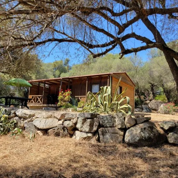 Chalet Cosy - U Nestru, hotel v destinaci Olmeto