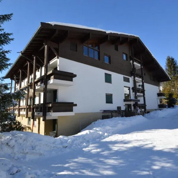 Wachtlnest、マリア・アルム・アム・シュタイナーネン・メアーのホテル