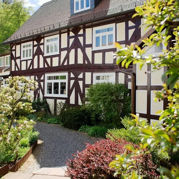 Hotel Dammühle, hotel v destinaci Marburg an der Lahn