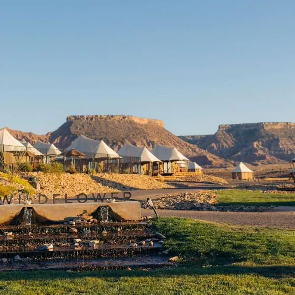 Zion Wildflower Resort, hotell sihtkohas Virgin