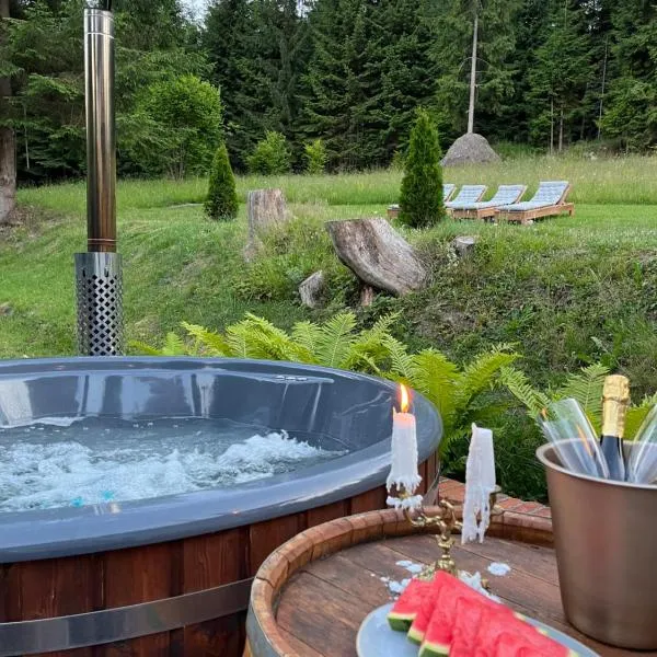 Casa Cifu Toplita, hotel v destinaci Topliţa