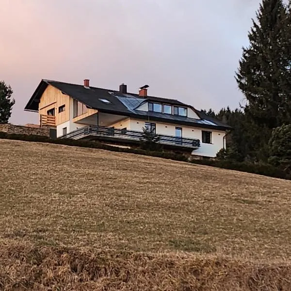 Ferienwohnung Reich, hotel v destinaci Hirschegg Rein