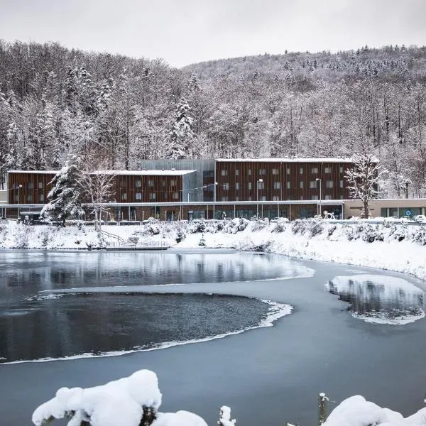 SALAMANDRA Hotel, hotel in Banská Štiavnica