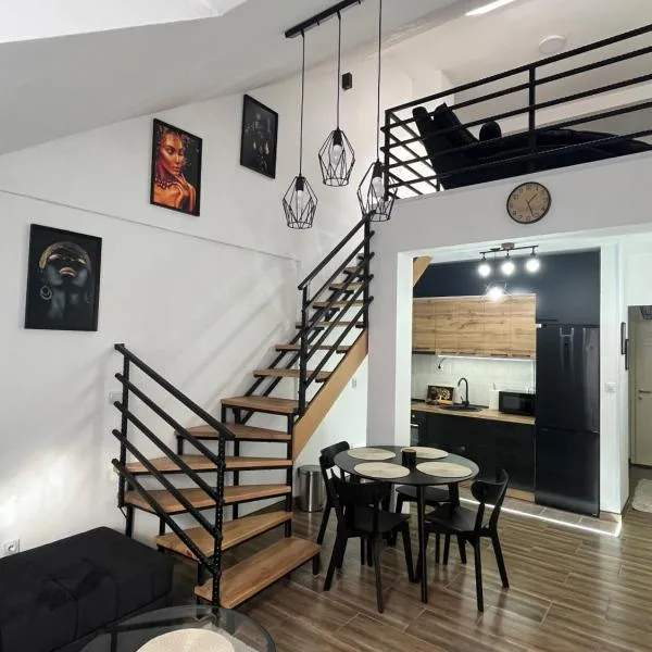Central Duplex Apartment，札耶查爾的飯店
