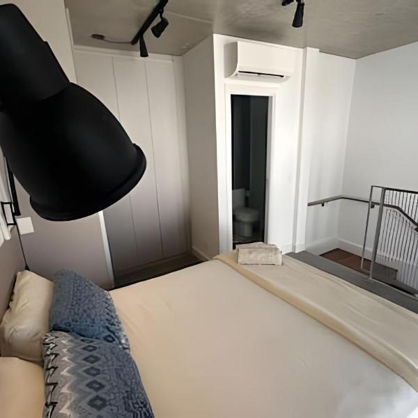 Ap rooftop duplex Arouche dplx 2105