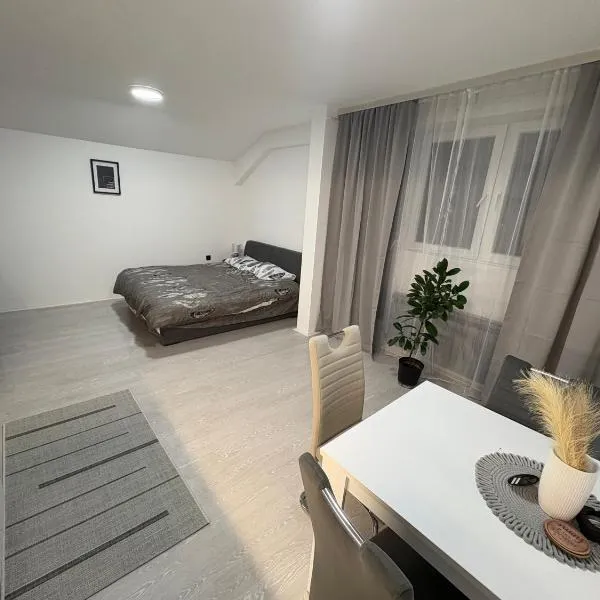 Fenix Apartman III, hotel v destinaci Zaječar