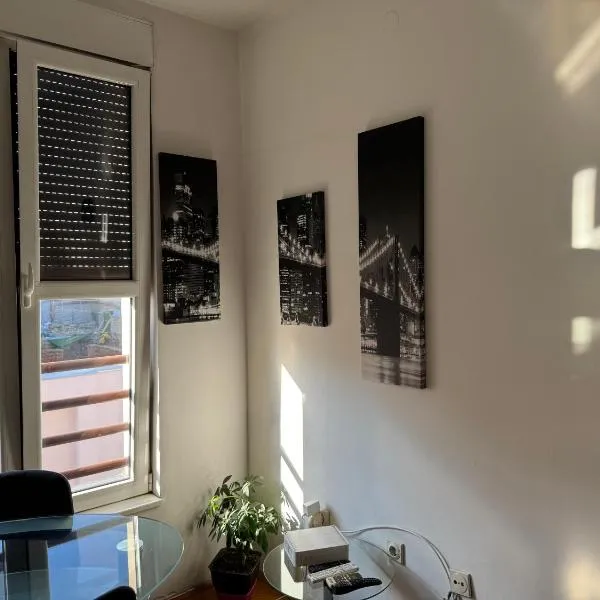 Apartman u Pašićevoj, hotel i Novi Sad