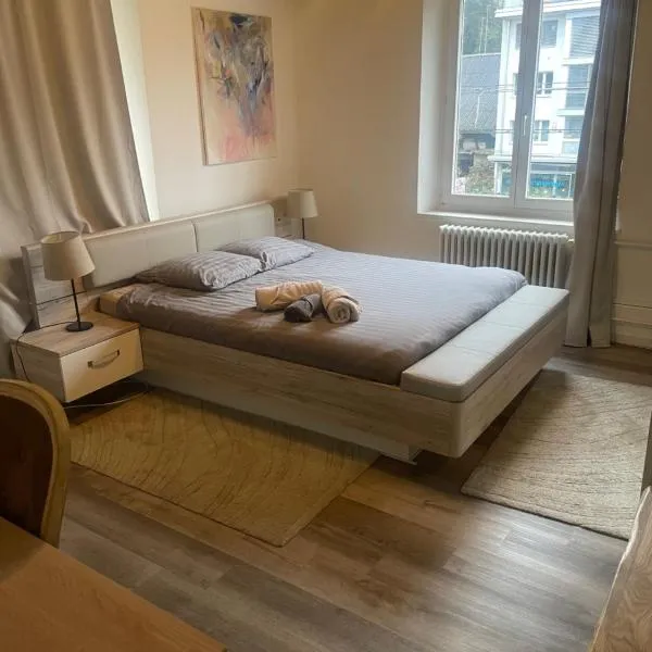 BLISS Basel Residence, hotel en Basilea
