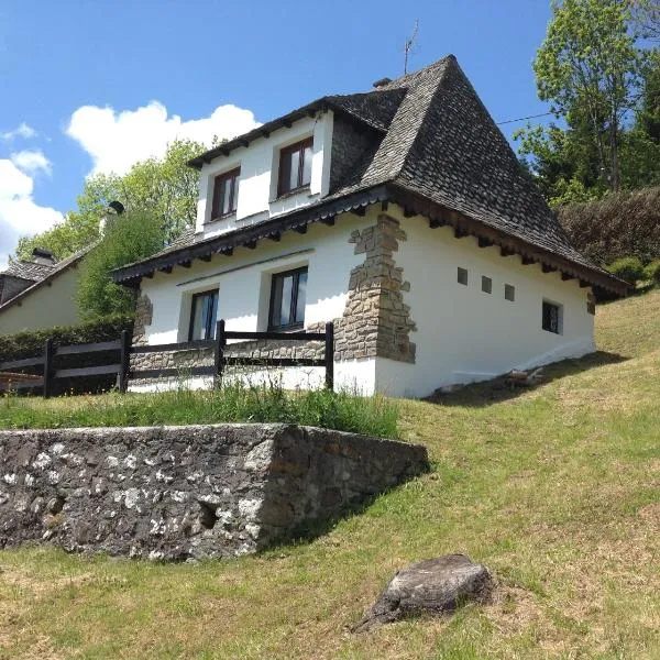 Chalet avec vue panoramique sur le Plomb du Cantal, hotel v destinácii Saint-Jacques-des-Blats