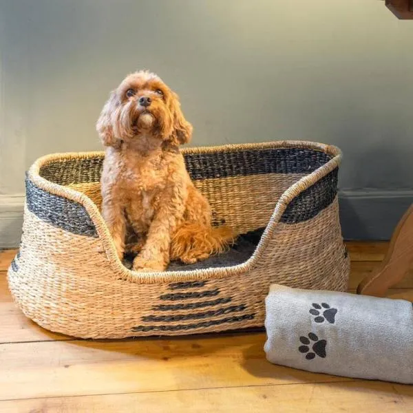 The Unique Cathedral Hideaway, viešbutis mieste Stirlingas