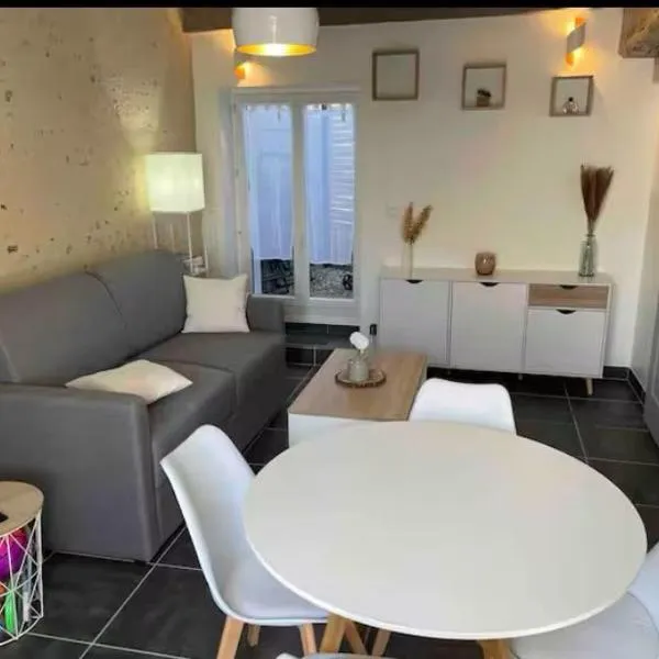Jolie maison cosy en sologne – hotel w mieście Romorantin