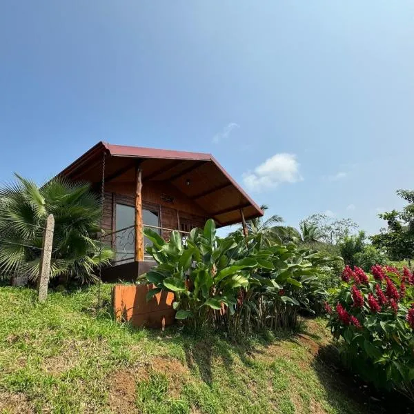 Villa Lomas Sarapiquí、Colonia Carvajalのホテル
