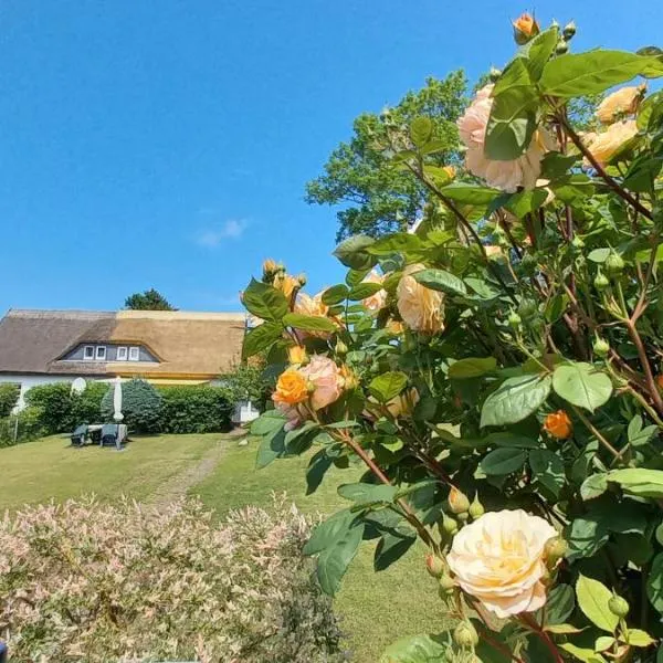 Ferienwohnungen Albrecht, hotel v destinaci Kloster