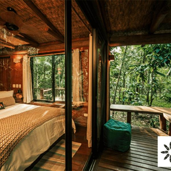 Banana Bamboo Ecolodge - Foto 2