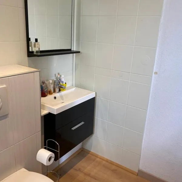 Nancy, Magnifique studio totalement climatisé, meublé, salle de bains et wc séparés, parking privé, cuisine équipée, WIFI, hotel v destinaci Malzéville