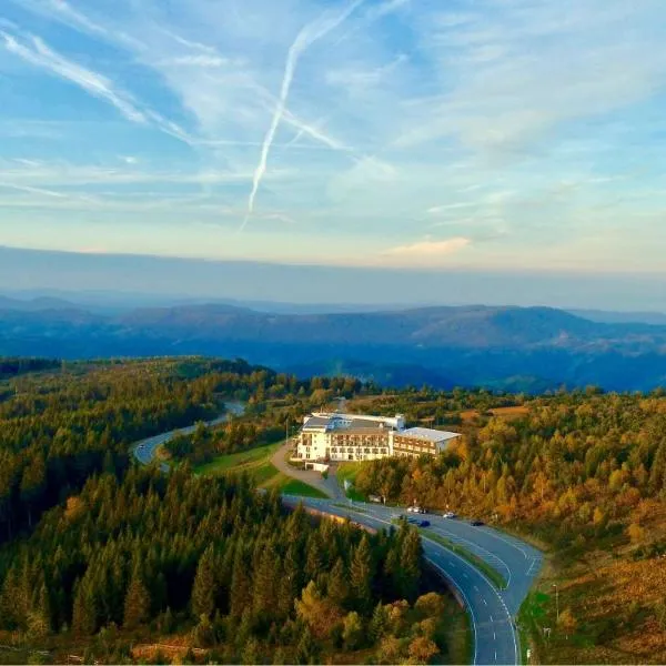 Wellness-& Nationapark Hotel Schliffkopf, BWSC, Hotel in Baiersbronn